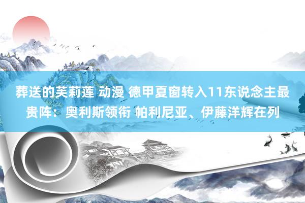 葬送的芙莉莲 动漫 德甲夏窗转入11东说念主最贵阵：奥利斯领衔 帕利尼亚、伊藤洋辉在列