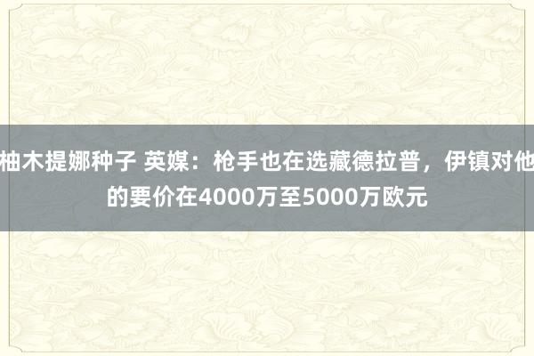 柚木提娜种子 英媒：枪手也在选藏德拉普，伊镇对他的要价在4000万至5000万欧元