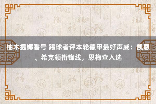 柚木提娜番号 踢球者评本轮德甲最好声威：凯恩、希克领衔锋线，恩梅查入选