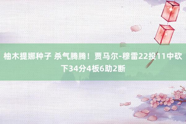 柚木提娜种子 杀气腾腾！贾马尔-穆雷22投11中砍下34分4板6助2断