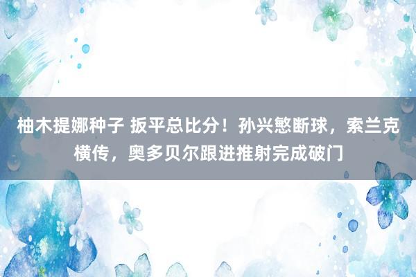 柚木提娜种子 扳平总比分！孙兴慜断球，索兰克横传，奥多贝尔跟进推射完成破门
