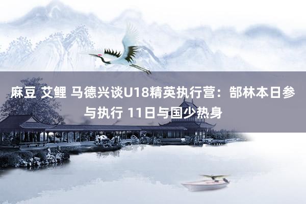 麻豆 艾鲤 马德兴谈U18精英执行营：郜林本日参与执行 11日与国少热身